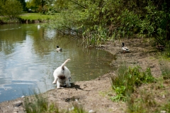 20100513_110455