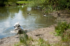 20100513_110457