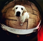 20100709_102942