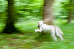 20100716_114925