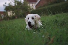 20100803_160102