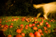 20100830_211504