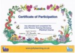 certificate-jp-p