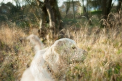 20120111_123846